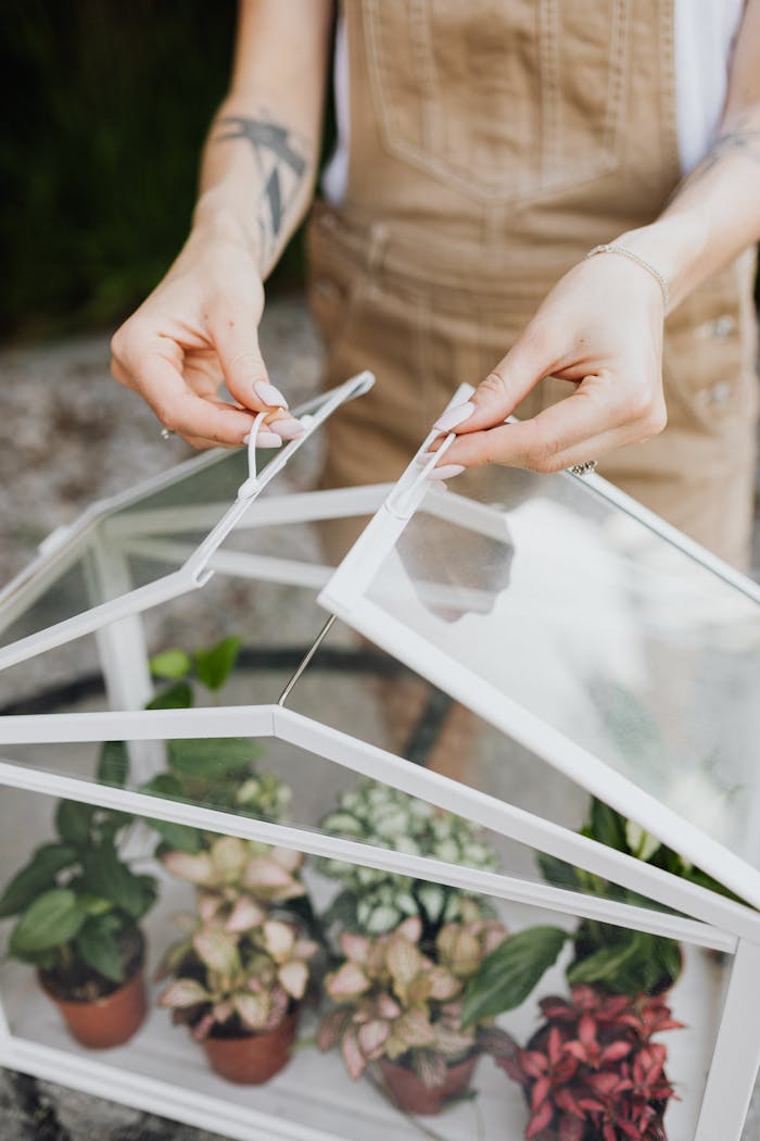 our-story A woman tends to potted plants in a small tabletop greenhouse.