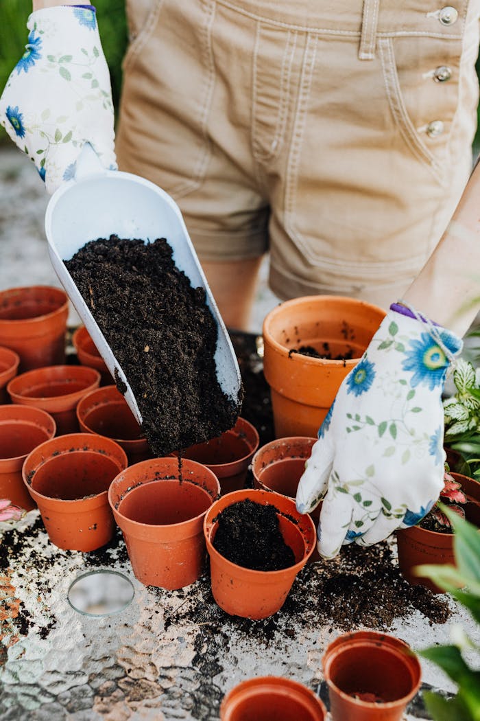 who-we-are Close-up of soil being placed in clay pots with floral gloves, ideal for gardening themes.