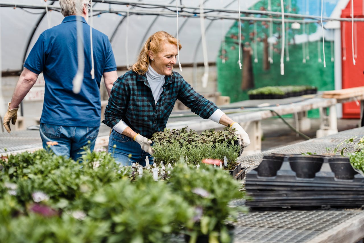 about-us Senior woman working with seedlings in a greenhouse, engaging in gardening activities.